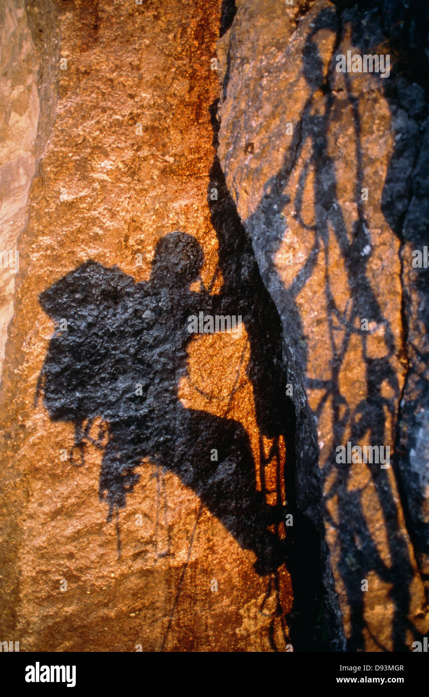 Ombra del rocciatore, vista in elevazione Foto Stock