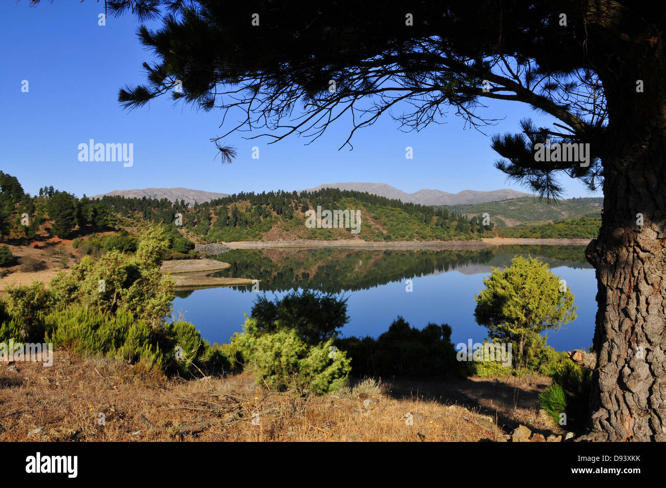 Lago Alto Del Flumendosa Barbagia Di Belvi Sardegna Italia Foto Stock Alamy