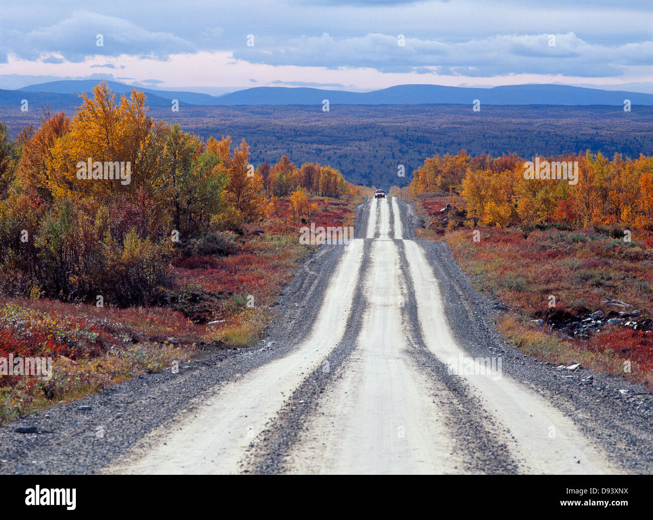 Vista della strada sterrata in autunno Foto Stock
