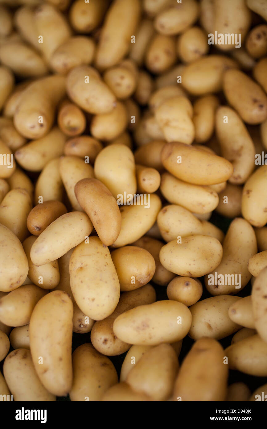 Piccole patate bianche fresche dal mercato degli agricoltori Foto Stock