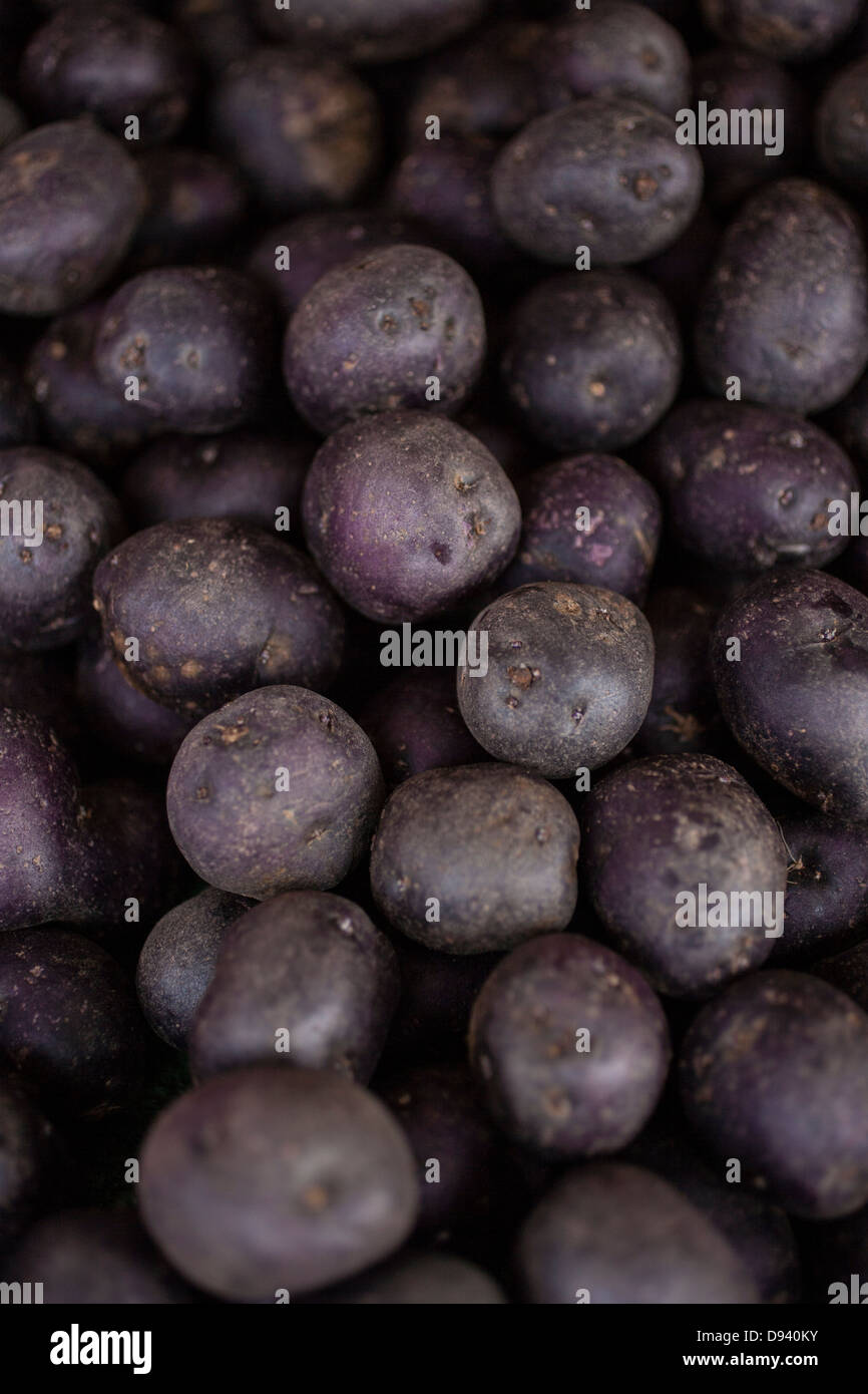Piccole patate viola freschi dal mercato degli agricoltori Foto Stock