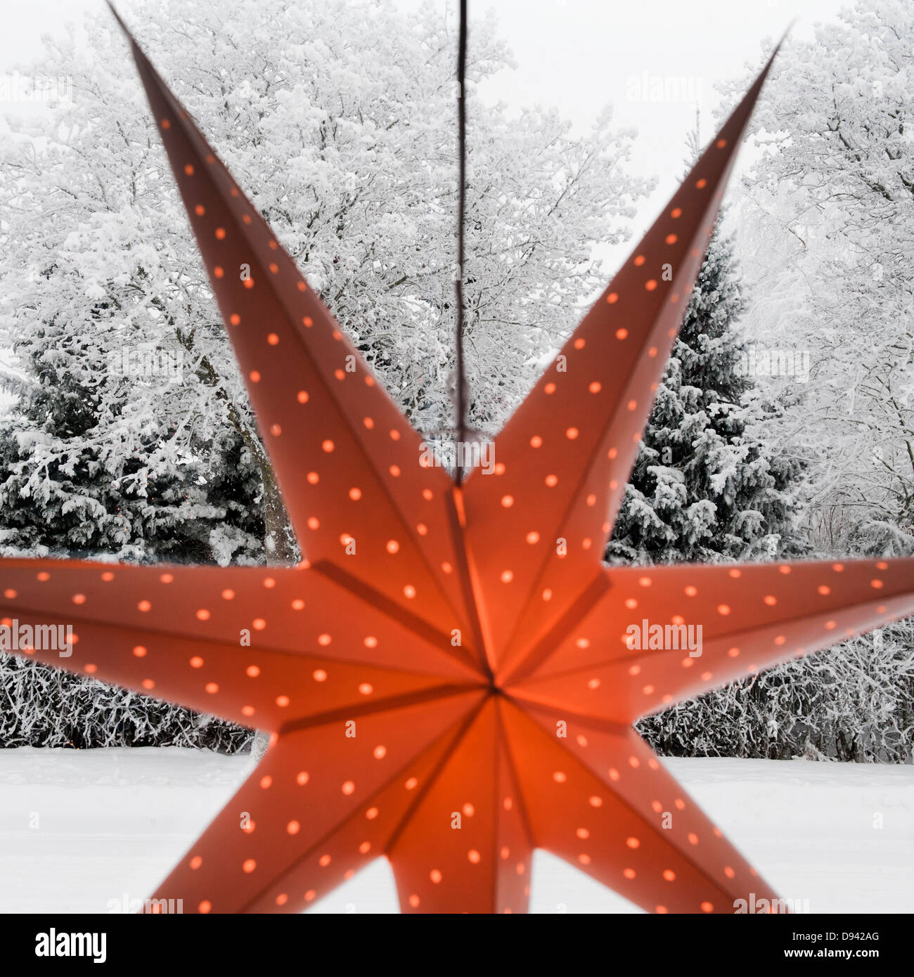 Avvento star lampada a sospensione, foresta invernale in background Foto Stock