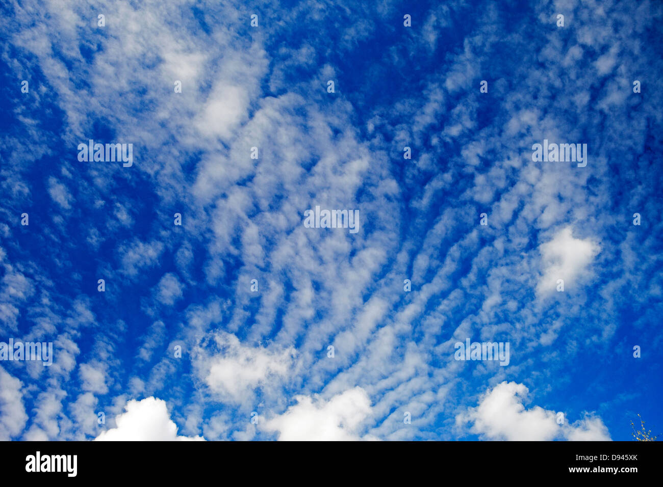 Basso angolo vista di nuvole Foto Stock