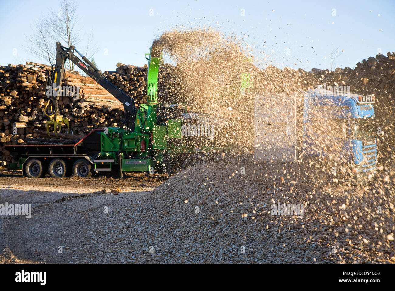 Produzione di trucioli di legno, Svezia. Foto Stock