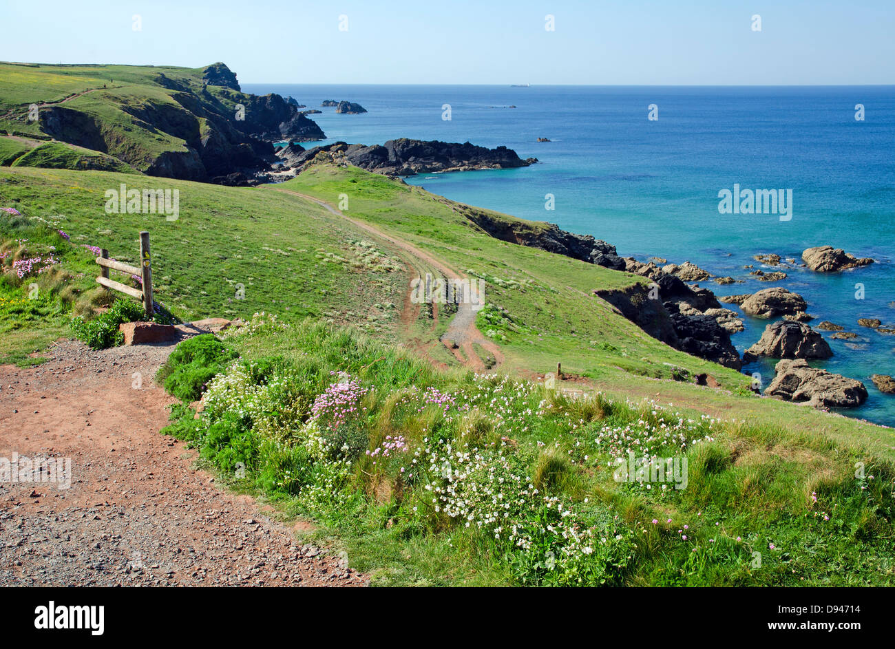 Lungo la costa sud occidentale il sentiero sulla penisola di Lizard, Cornwall, Regno Unito Foto Stock