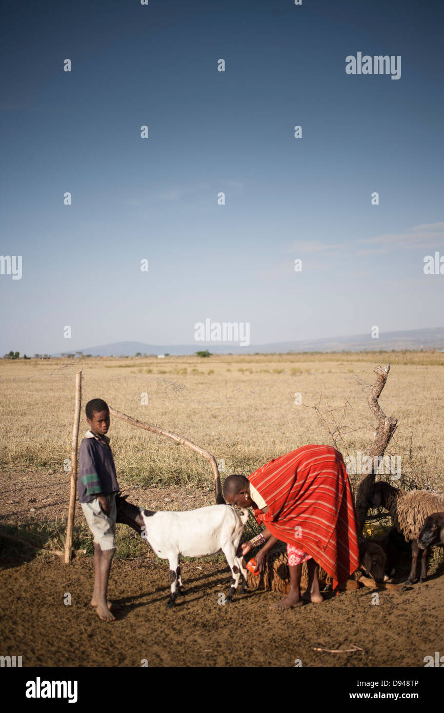Famiglia masai imbrancandosi capre in Kenya Foto Stock