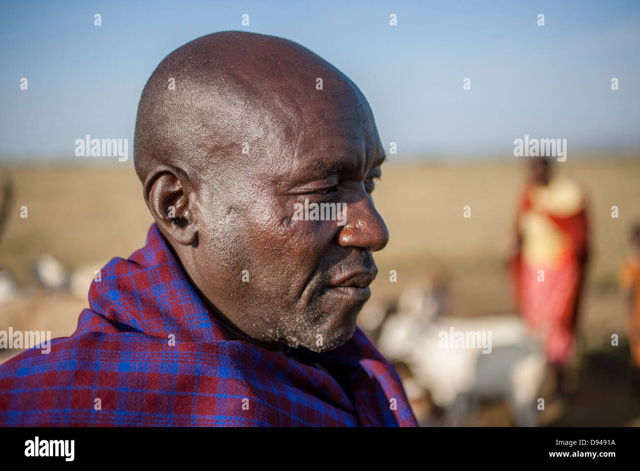 Famiglia masai nella Rift Valley dell Africa imbrancandosi capre Foto Stock