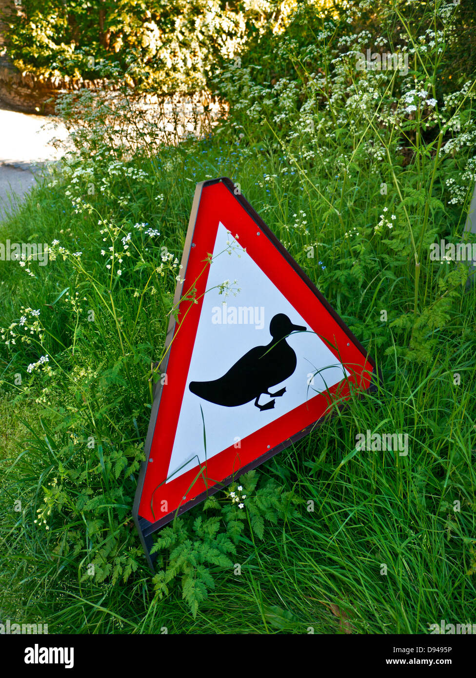 Strada rurale sign in Cotswolds avvertenza di anatre attraversando avanti Foto Stock