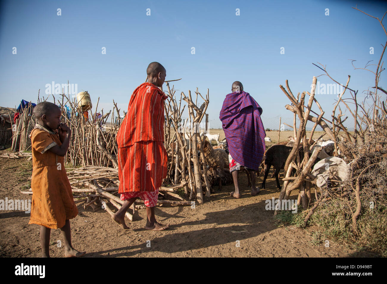 Famiglia masai nella Rift Valley dell Africa imbrancandosi capre Foto Stock