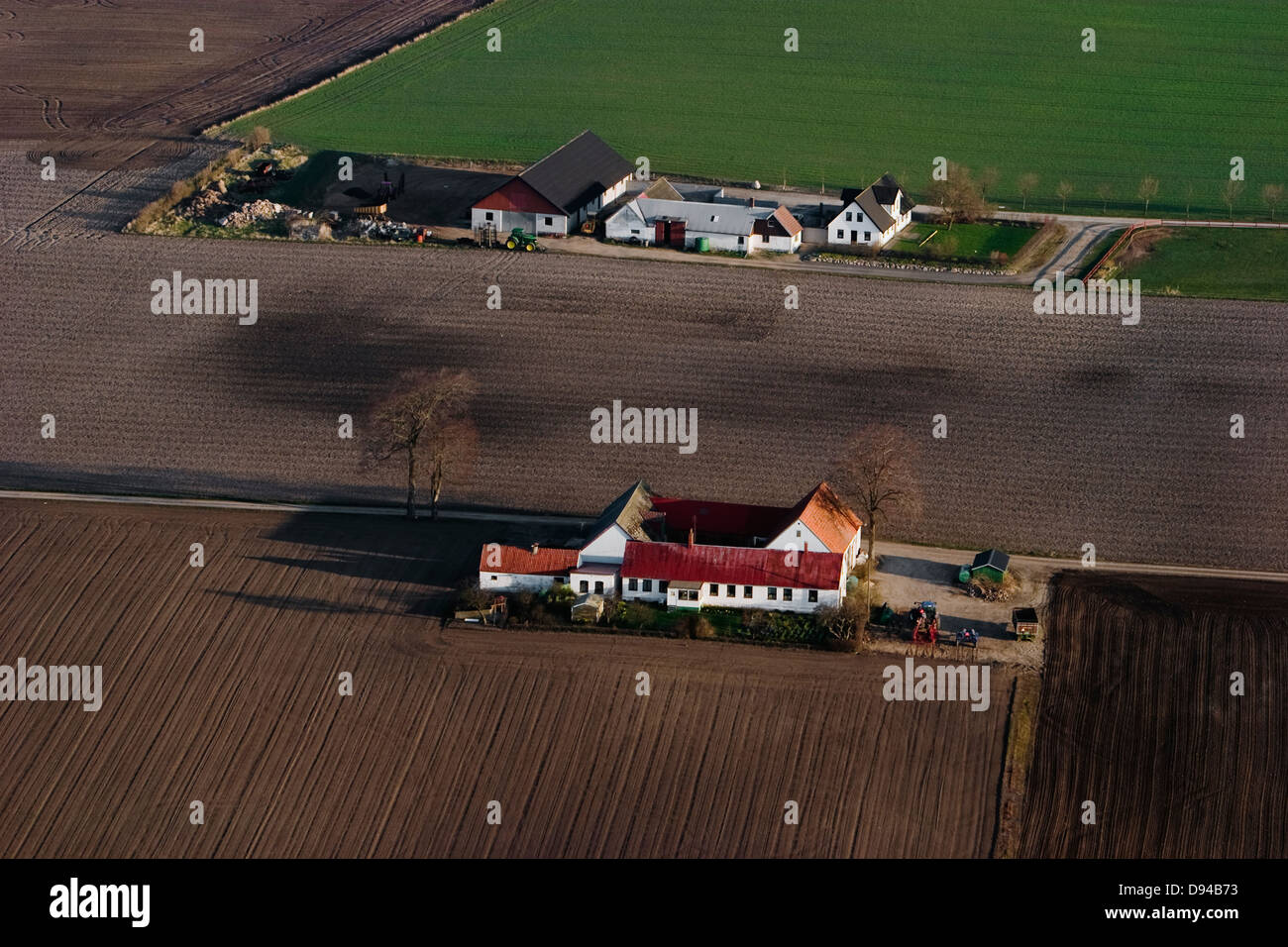 Aziende agricole nel distretto, Skane, Svezia. Foto Stock