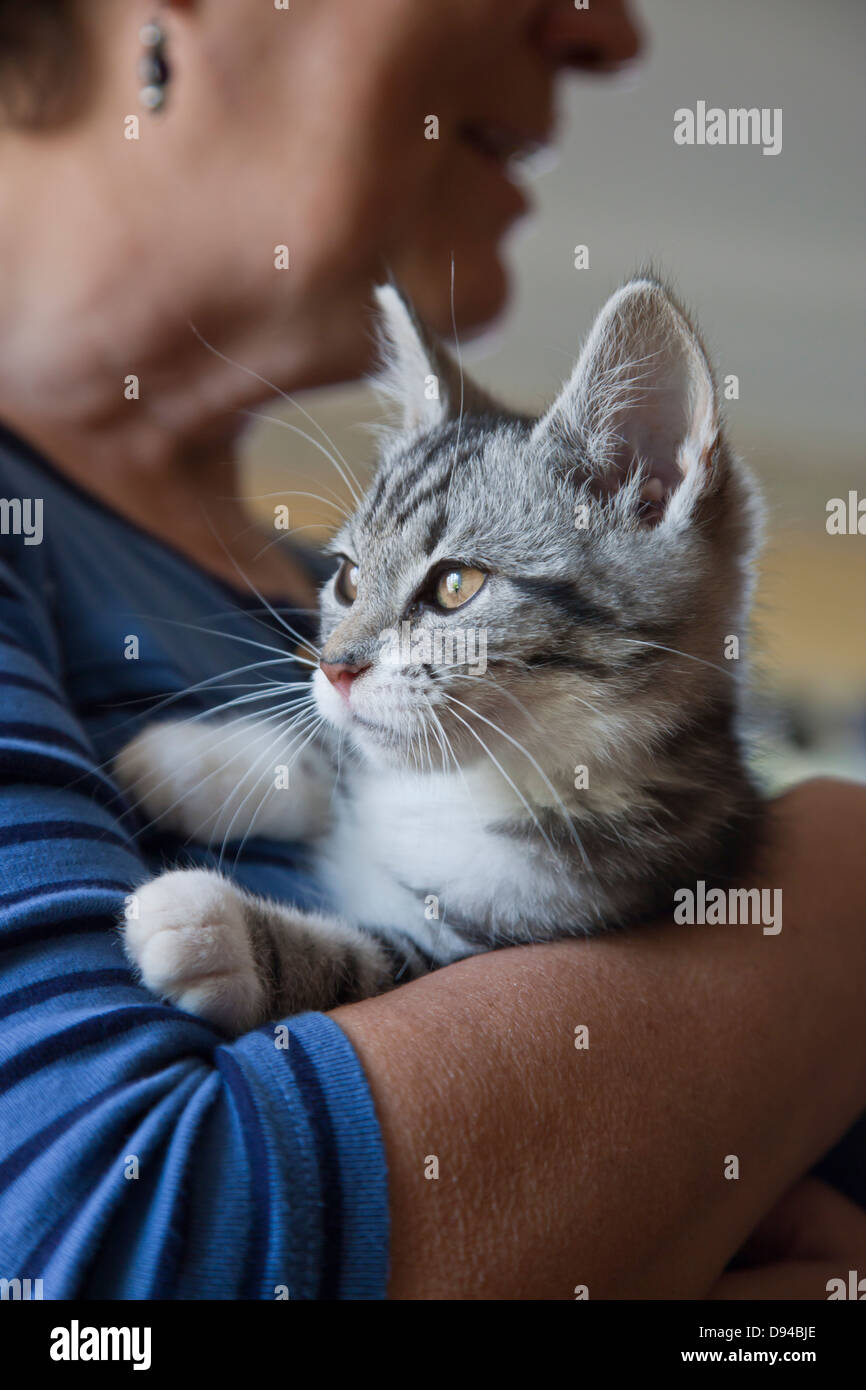 Donna che mantiene cat, close-up Foto Stock