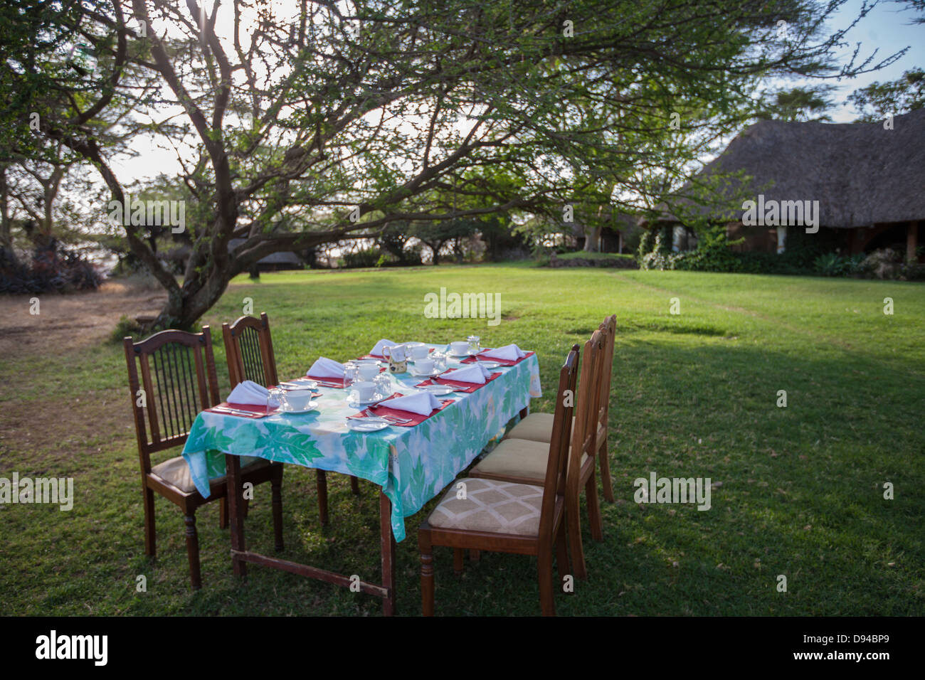 Tavolo esterno impostazione su un prato erboso sotto un albero Foto Stock