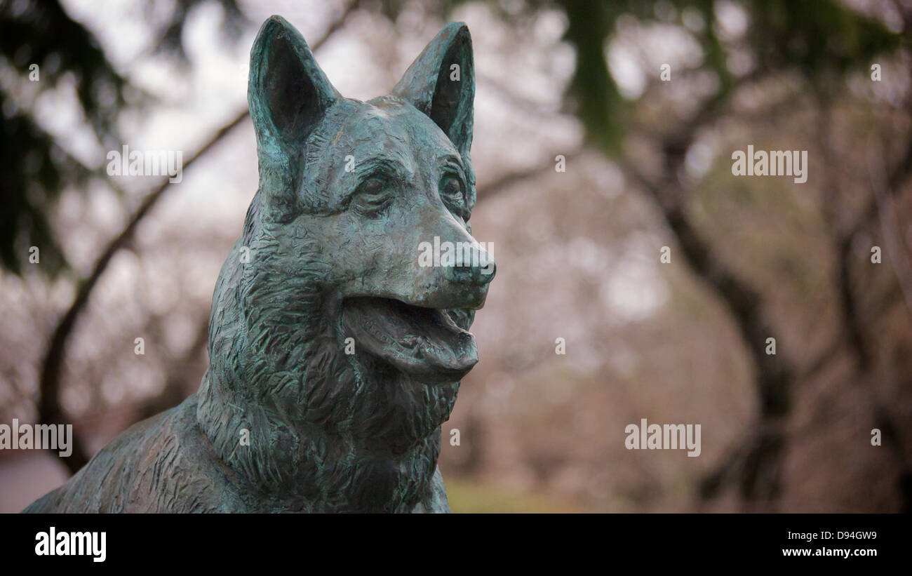 Fedele cane statua di un tedesco di Shepard la guardia al Santuario Yasukuni Foto Stock