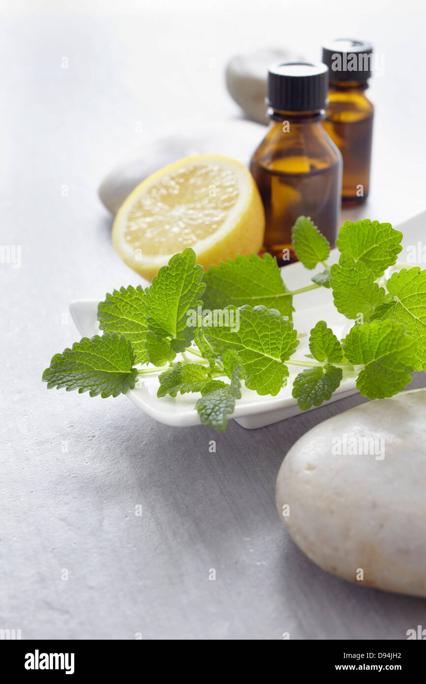 Rametto di melissa, erbe aromatiche fresche, limone e bottiglie di olio essenziale per aromaterapia Foto Stock