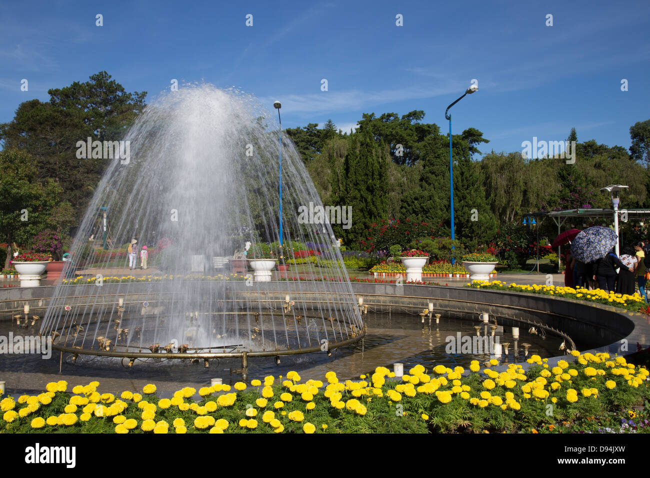 Dalat giardini di fiori sono stati stabiliti nel 1966 come Dalat è un luogo eccellente per i fiori e le piante di prosperare. Foto Stock