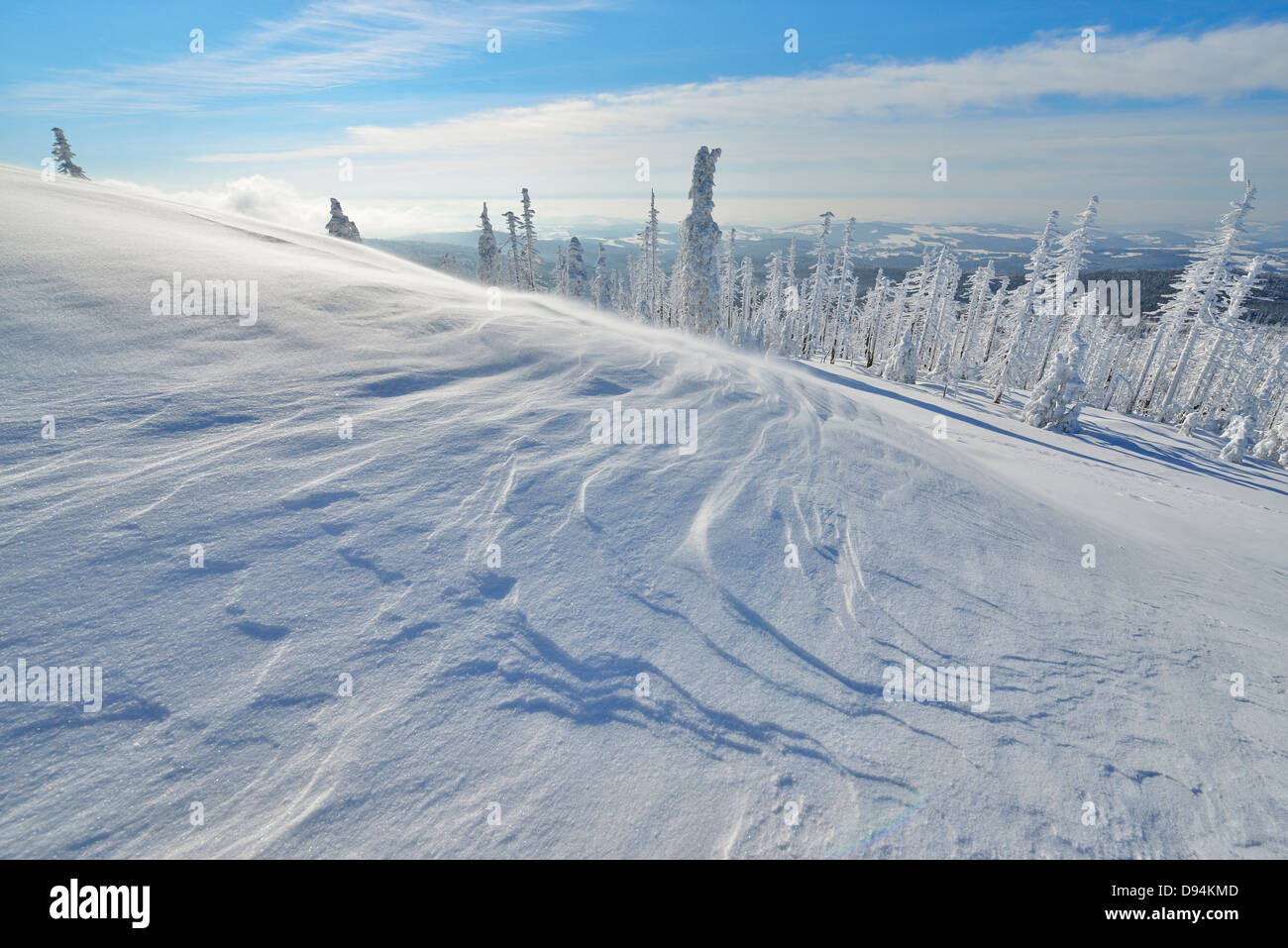 Il picco del Monte Lusen con lavori di soffiaggio della neve in inverno, Grafenau, bavarese Parco Nazionale della Foresta Bavarese, Baviera, Germania Foto Stock