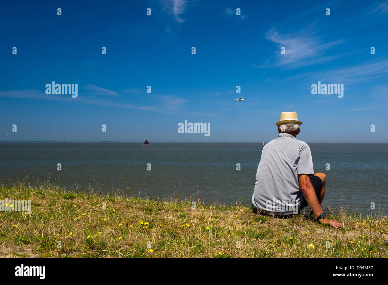 Uomo seduto presso la diga da olandesi il Wadden Sea Foto Stock