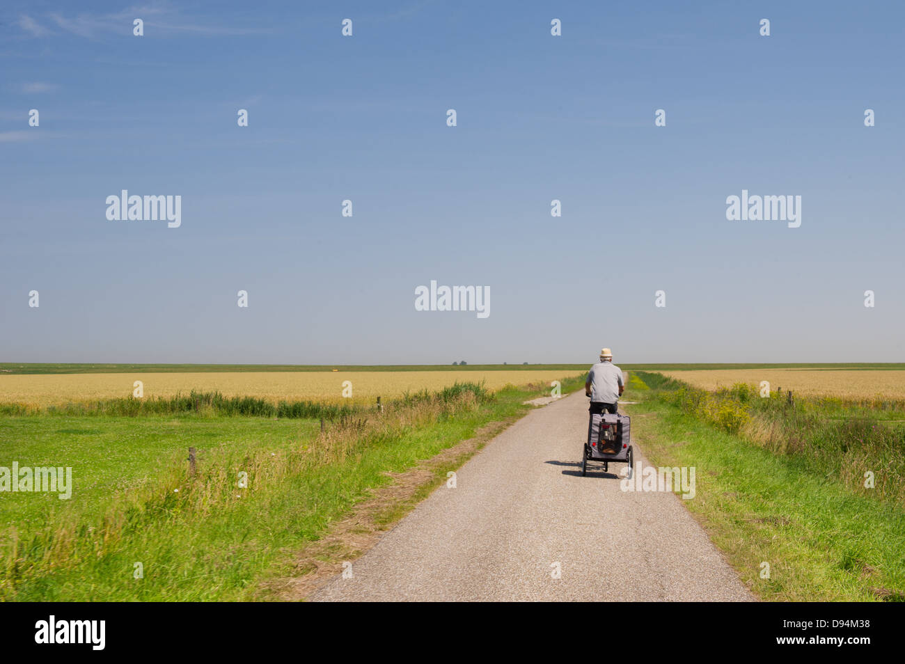 Uomo sulla bicicletta con cane auto nel paesaggio Olandese Foto Stock