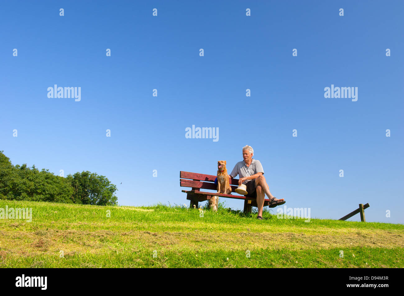 Divertenti cane bagnato con il cappello sul banco di prova all'aperto con il suo proprietario seduto in natura Foto Stock
