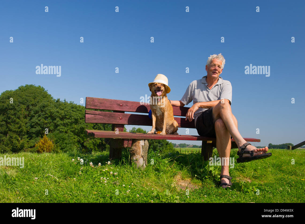 Divertenti cane bagnato con il cappello sul banco di prova all'aperto con il suo proprietario seduto in natura Foto Stock