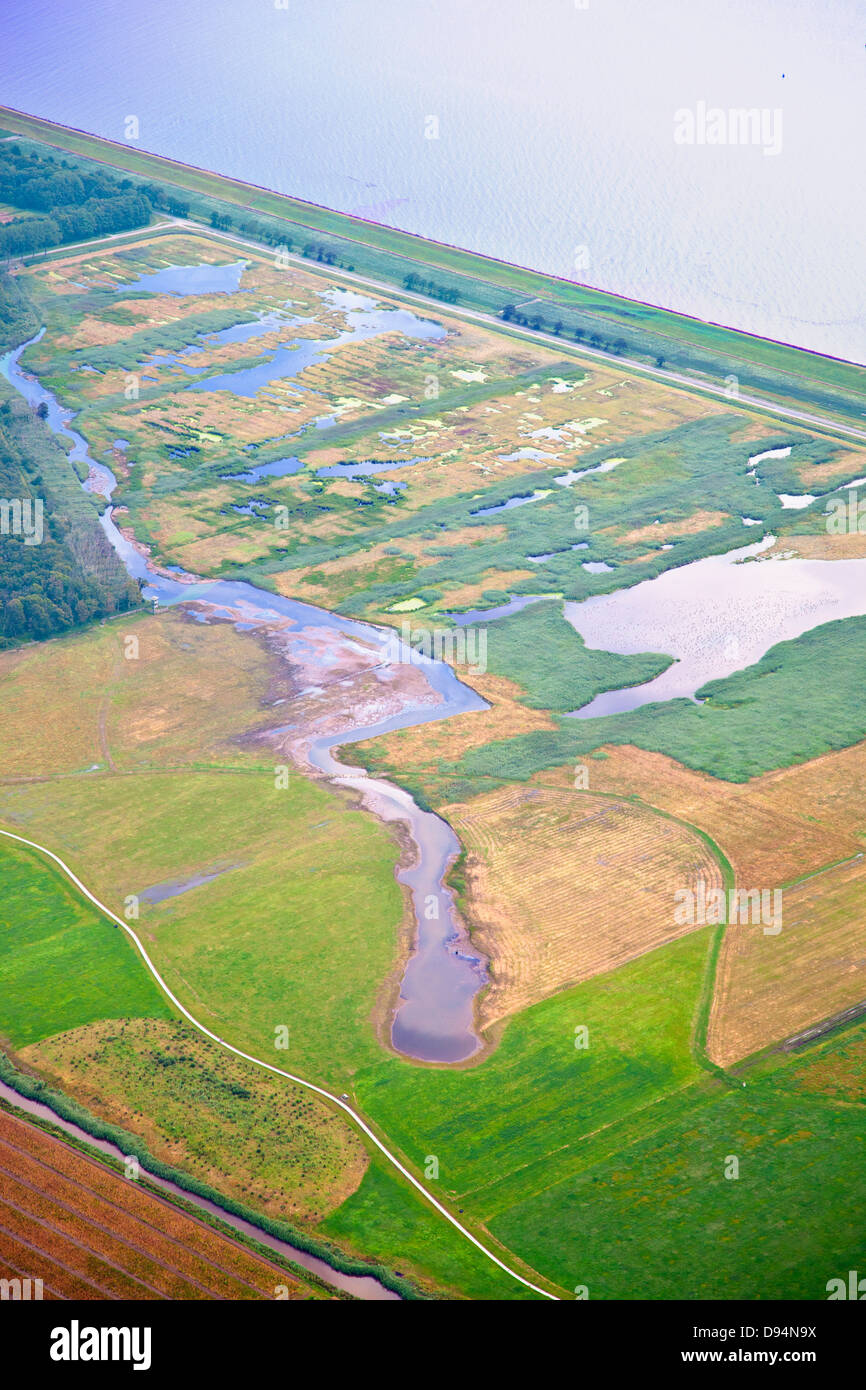 Natura olandese paesaggio con acqua e forrest dal di sopra, Paesi Bassi Foto Stock