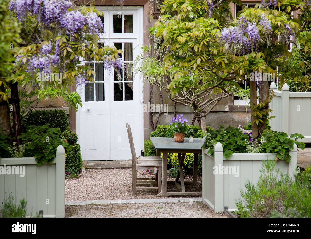 Un tavolo da giardino e sede tra il glicine a Holker Hall, Cumbria Foto Stock