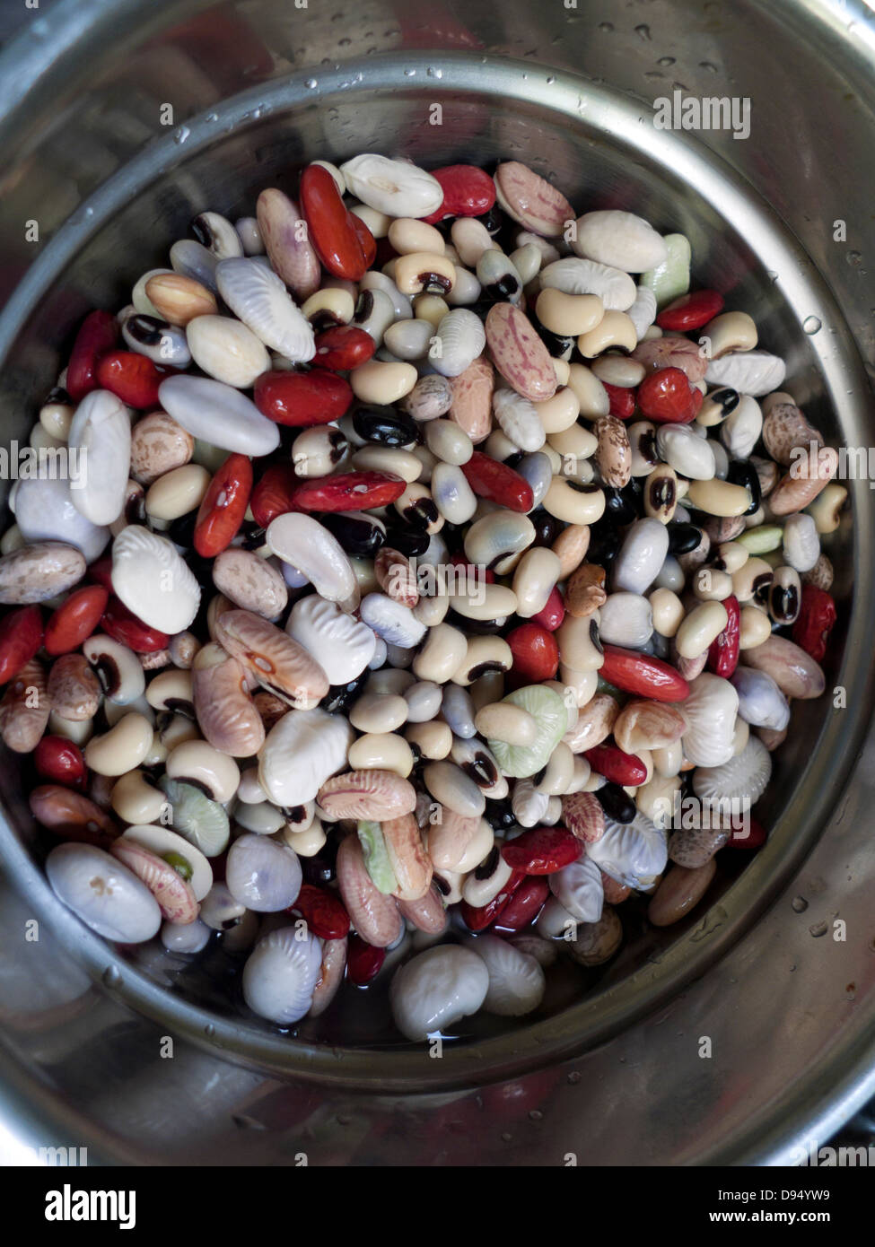 Un acciaio inossidabile sgocciolatoio di miste di varietà di fagioli secchi messo ammollo prima della cottura Wales UK Foto Stock