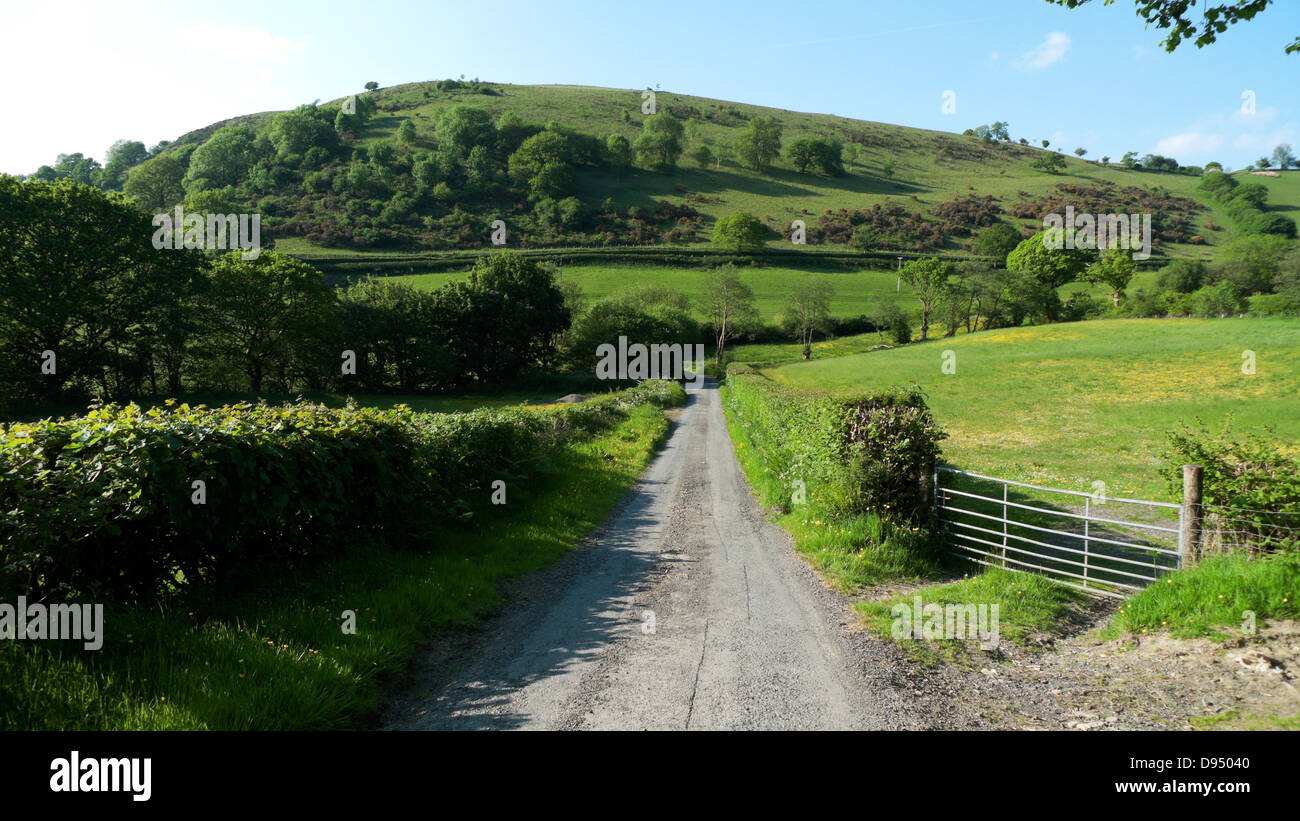 Paesaggio rurale paesaggio in condizioni di luce solare intensa Carmarthenshire Wales UK Giugno 2013 Foto Stock