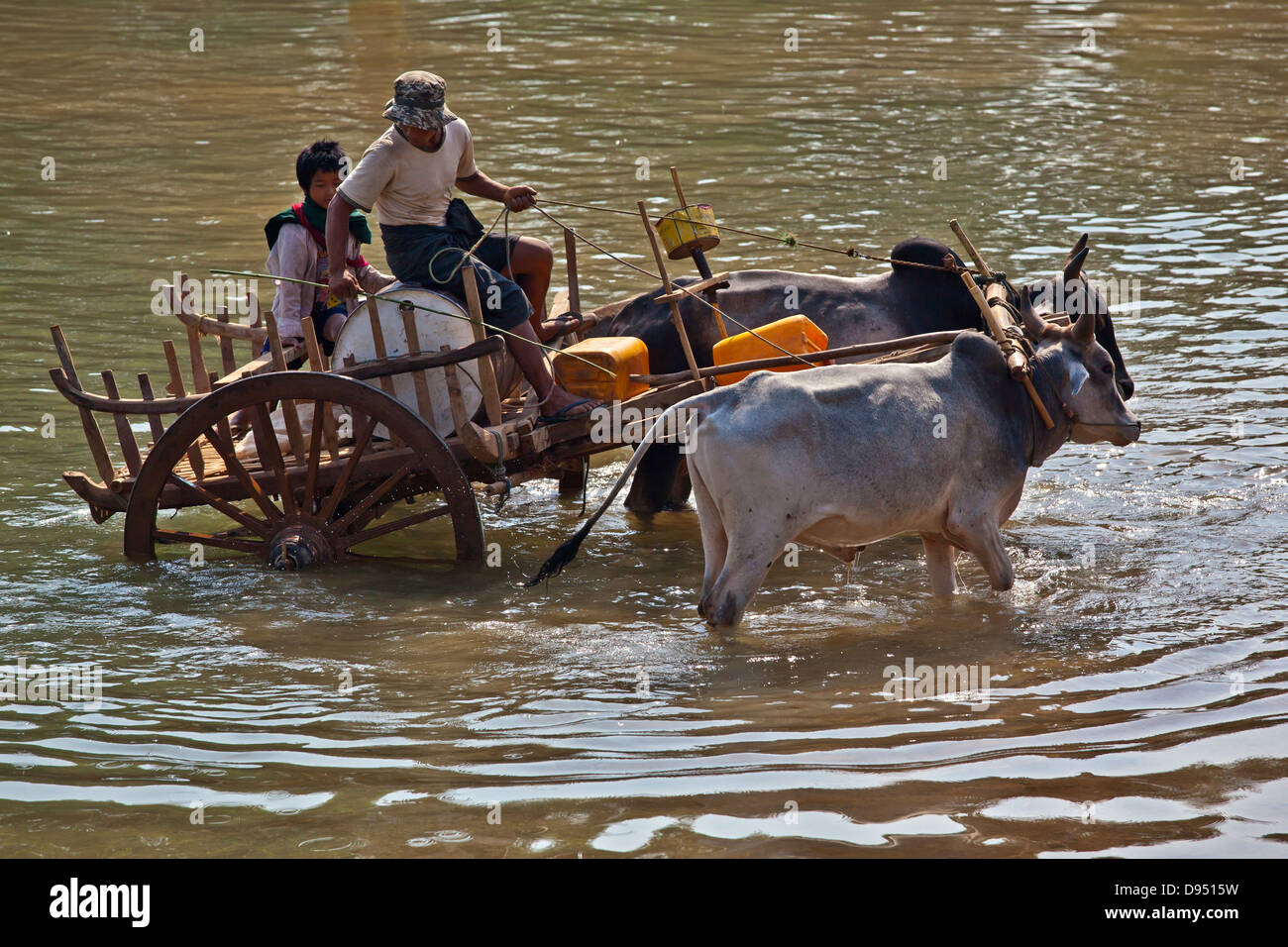 Un bue carrello viene utilizzato per il trasporto a INDEIN - Lago Inle, MYANMAR Foto Stock
