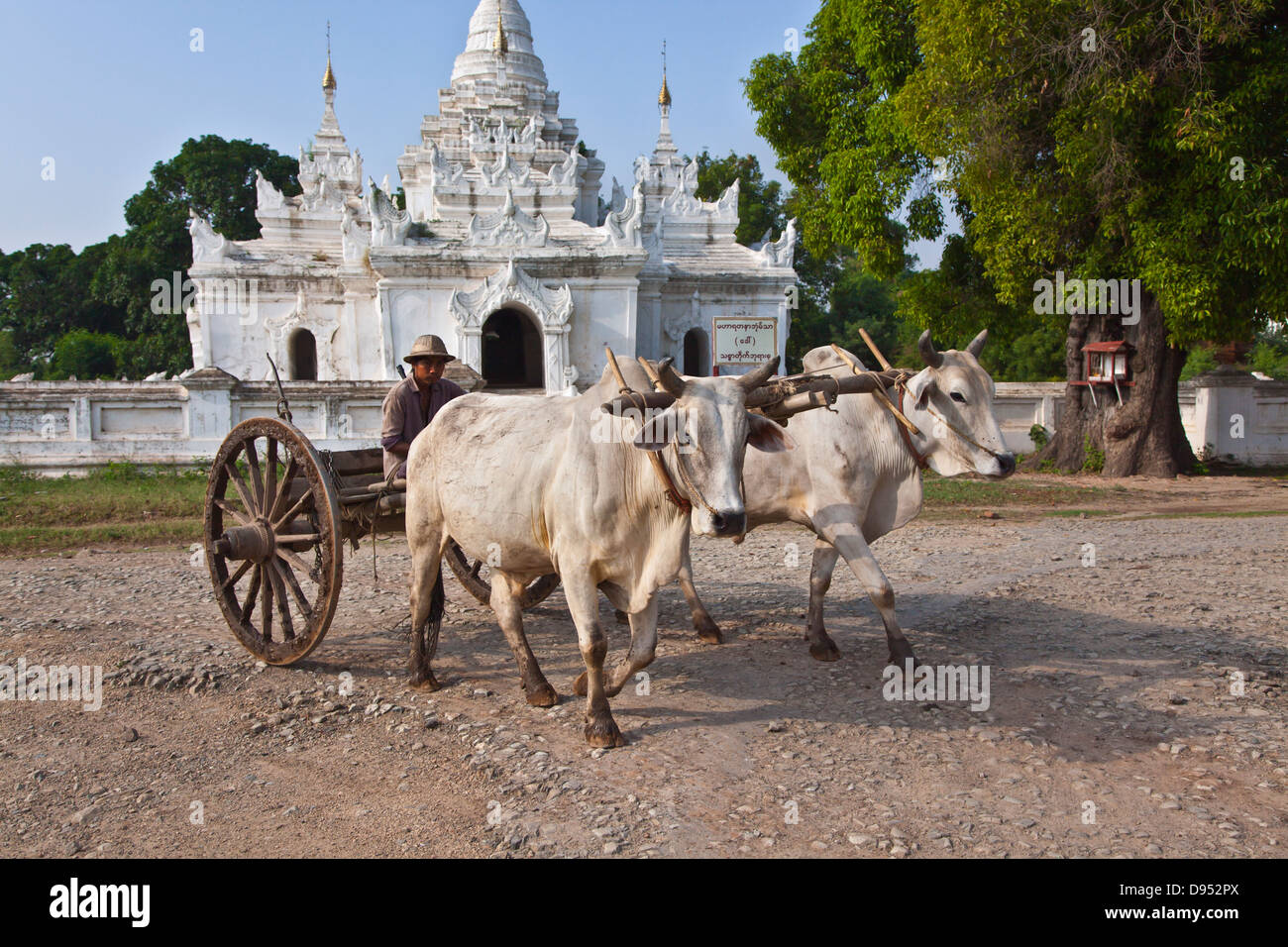 OX CART e santuario buddista in INWA storico che è servita come regni birmani di capitale per 400 anni - Myanmar Foto Stock