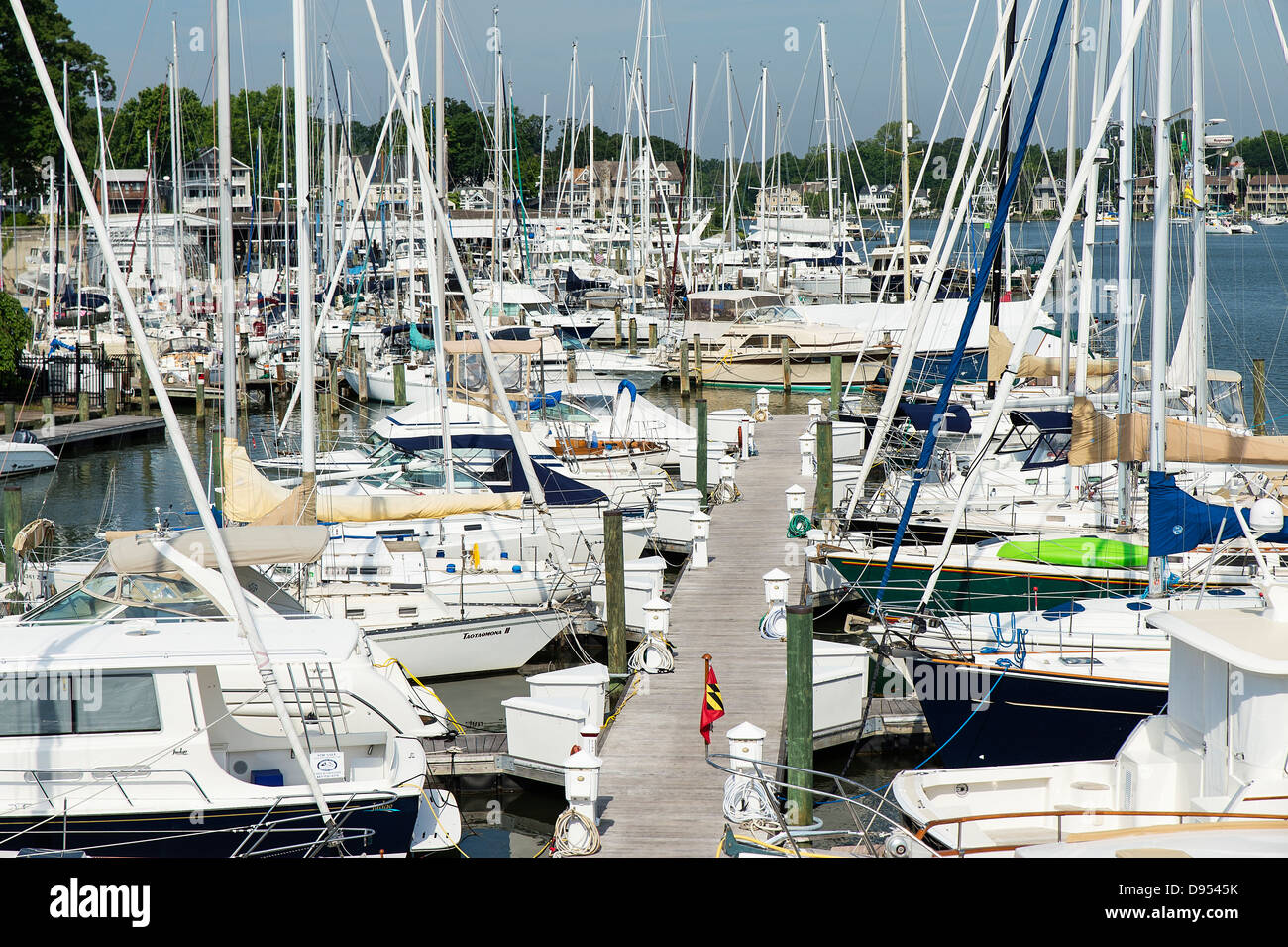 Barche a vela ormeggiata, Annapolis, Maryland, Stati Uniti d'America Foto Stock