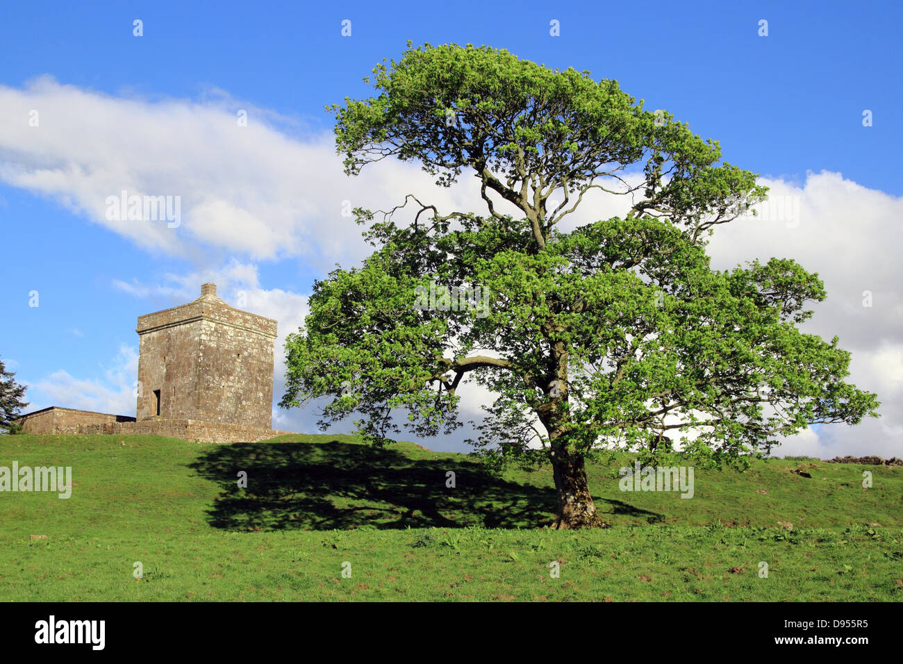 Il pentimento Tower, Annandale, Dumfries and Galloway, Scotland, Regno Unito Foto Stock