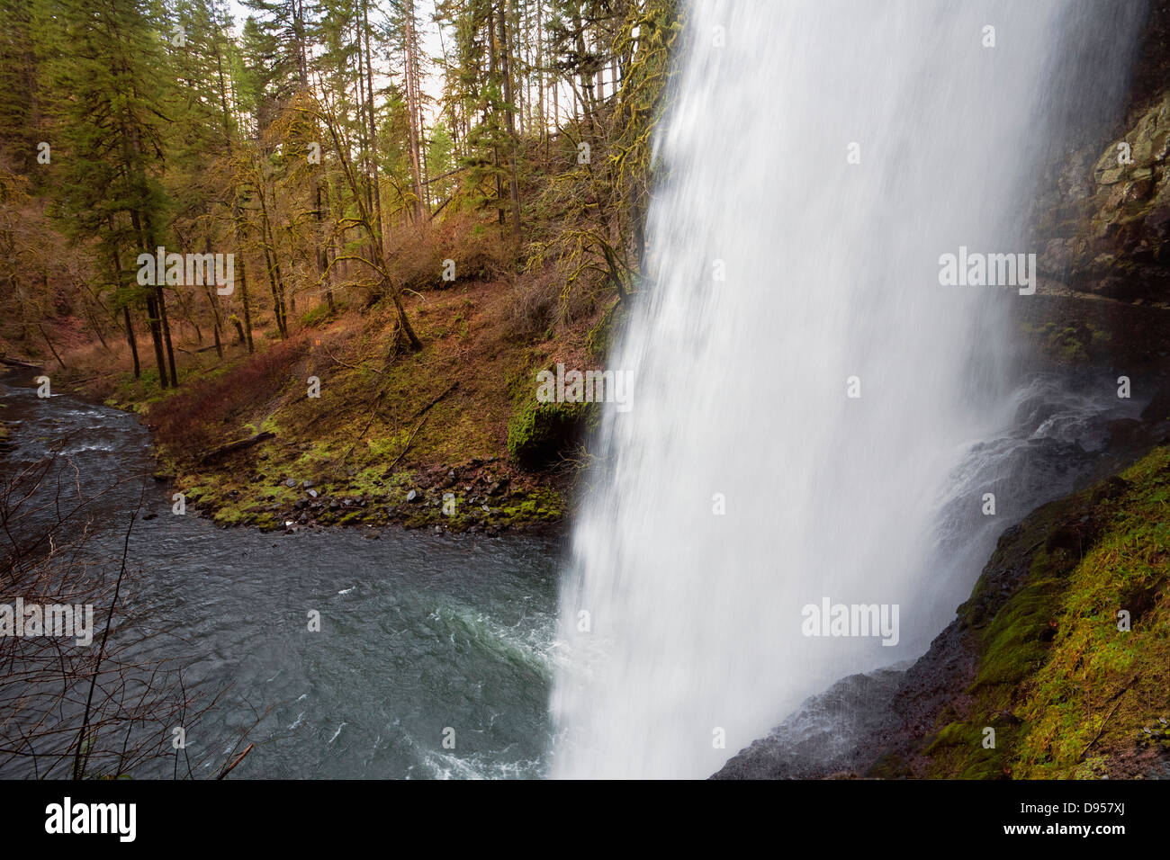 OREGON - Sud inferiore cade sulla forcella del sud di argento Creek a Silver Falls State Park dal percorso di dieci cade. Foto Stock