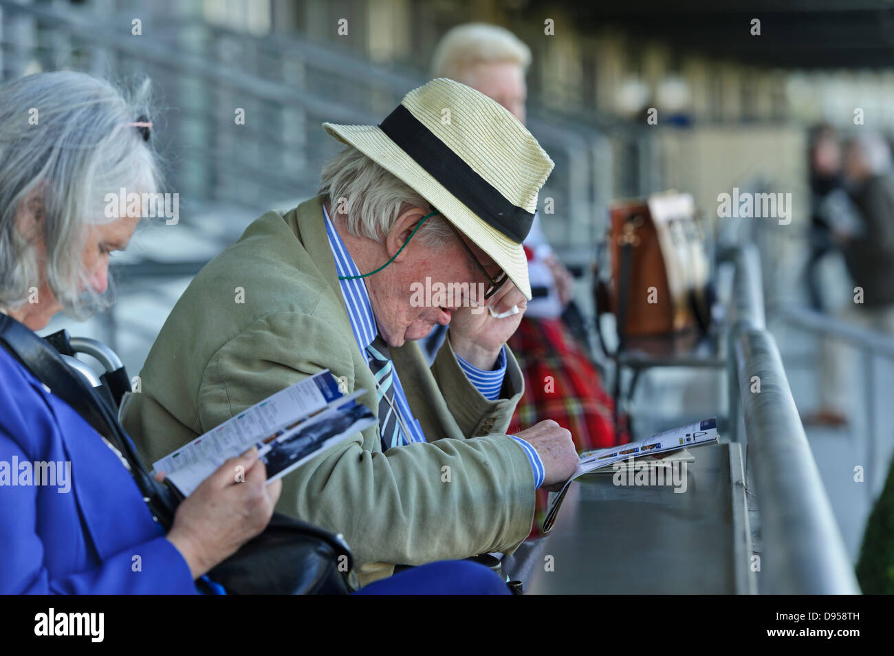 Anziano gentiluomo controllo horse racing elenco, Ascot Racecourse, Inghilterra, Regno Unito. Foto Stock