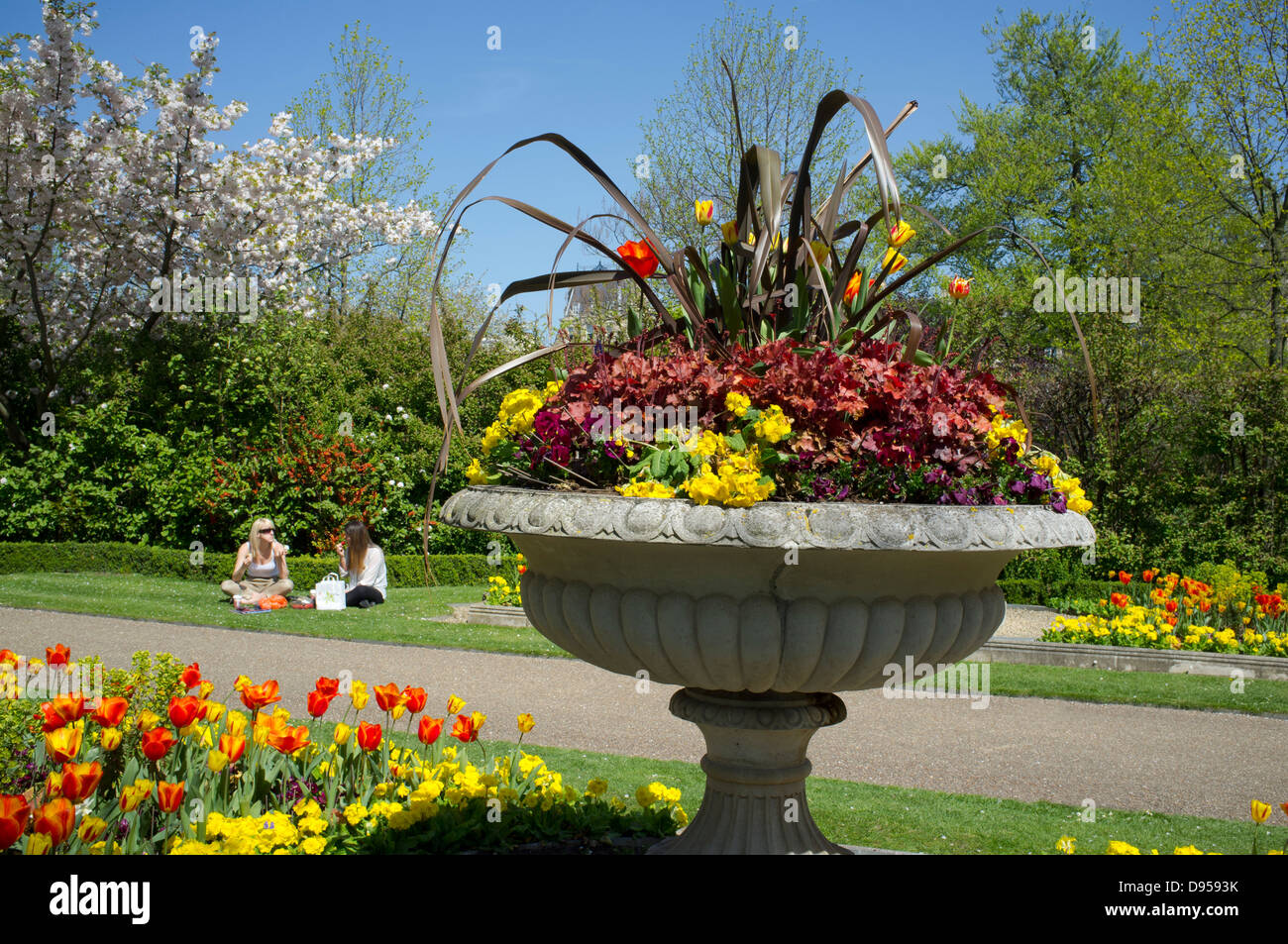 Fiori di Primavera in crescita in Regents Park, London, Regno Unito Foto Stock