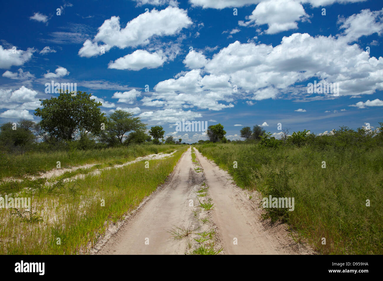 Via da Dobe confine Nokaneng, il nord-ovest il Botswana, Africa Foto Stock