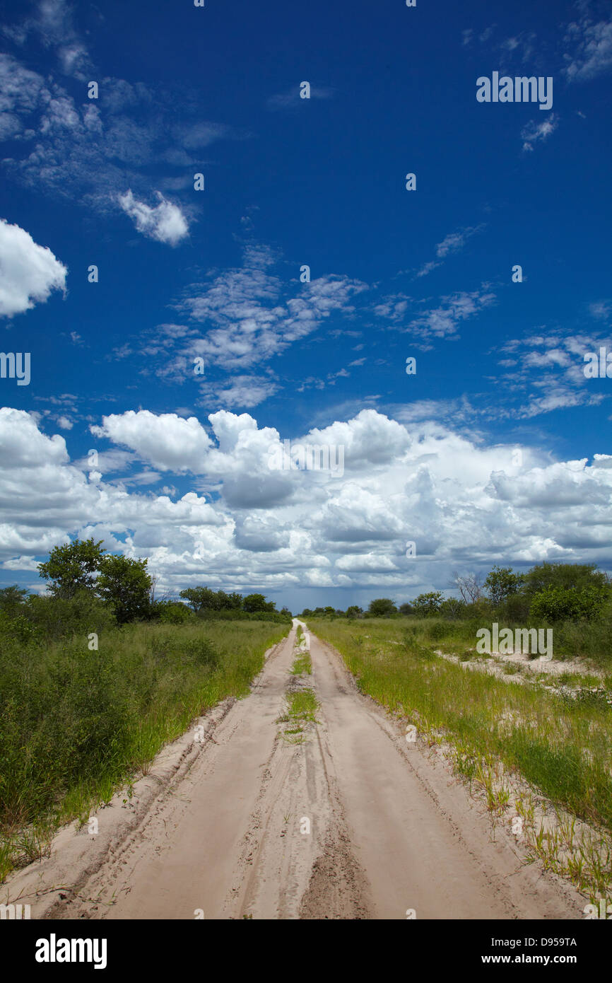 Via da Dobe confine Nokaneng, il nord-ovest il Botswana, Africa Foto Stock