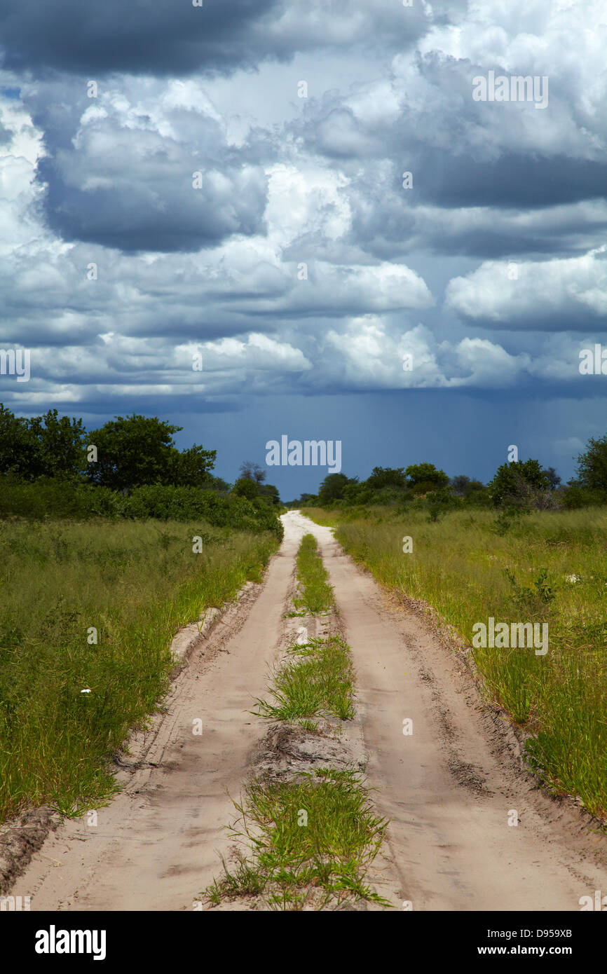 Via da Dobe confine Nokaneng e nuvole di tempesta, il nord-ovest il Botswana, Africa Foto Stock
