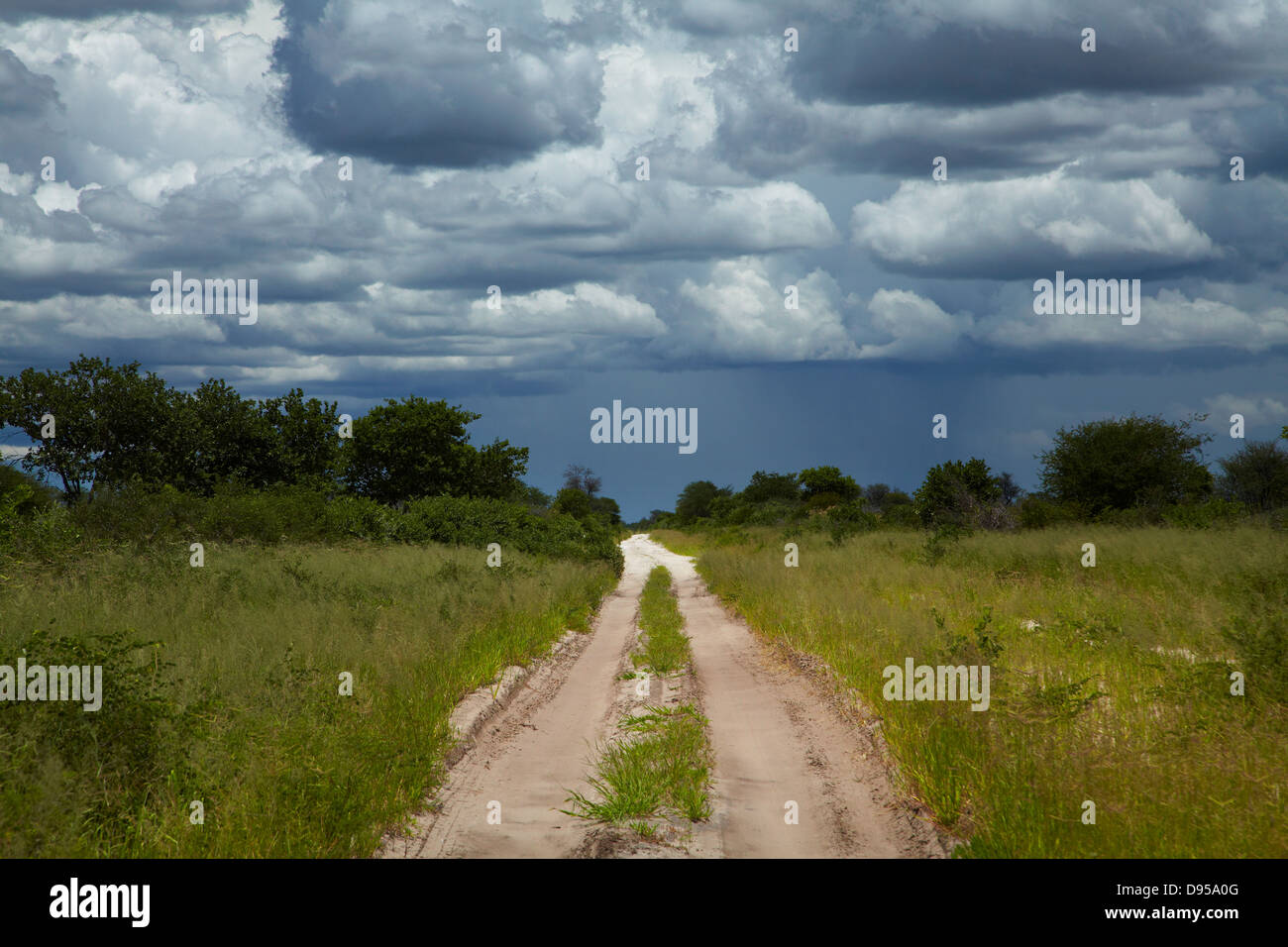 Via da Dobe confine Nokaneng e nuvole di tempesta, il nord-ovest il Botswana, Africa Foto Stock