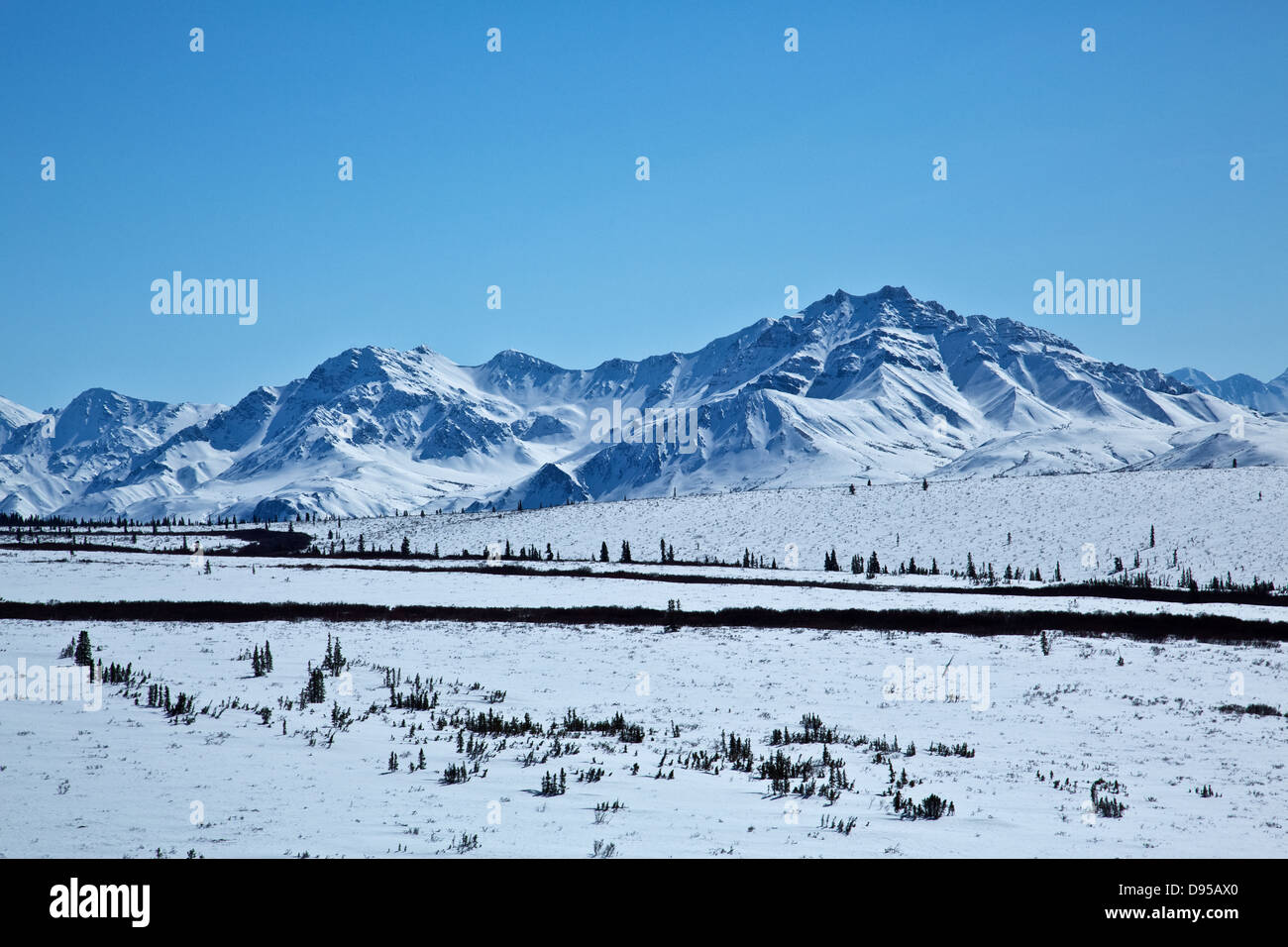 Dell Alaska Denali National Park Foto Stock