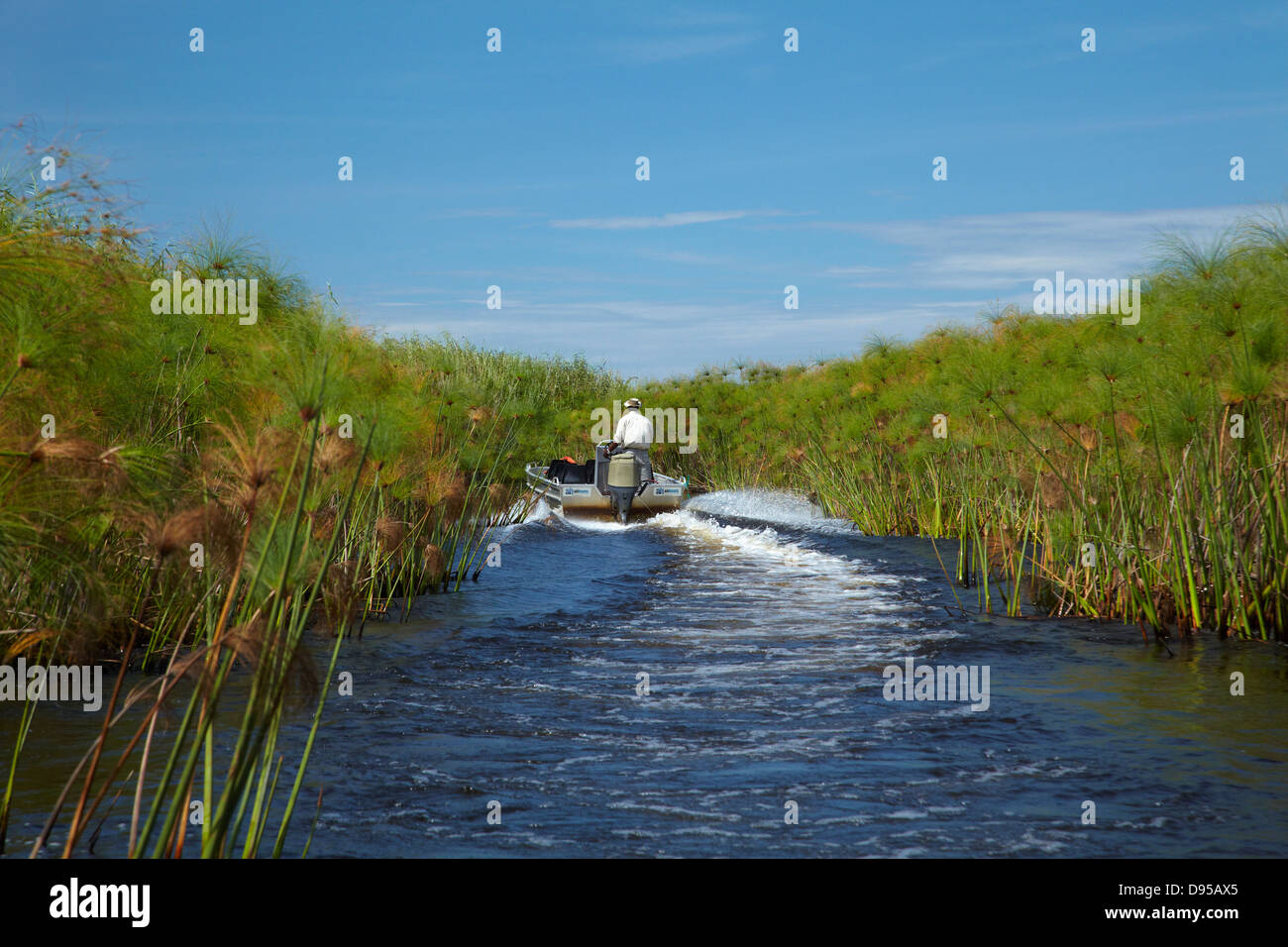 Barca in chanel attraverso il papiro ance, Okavango Delta, Botswana, Africa Foto Stock