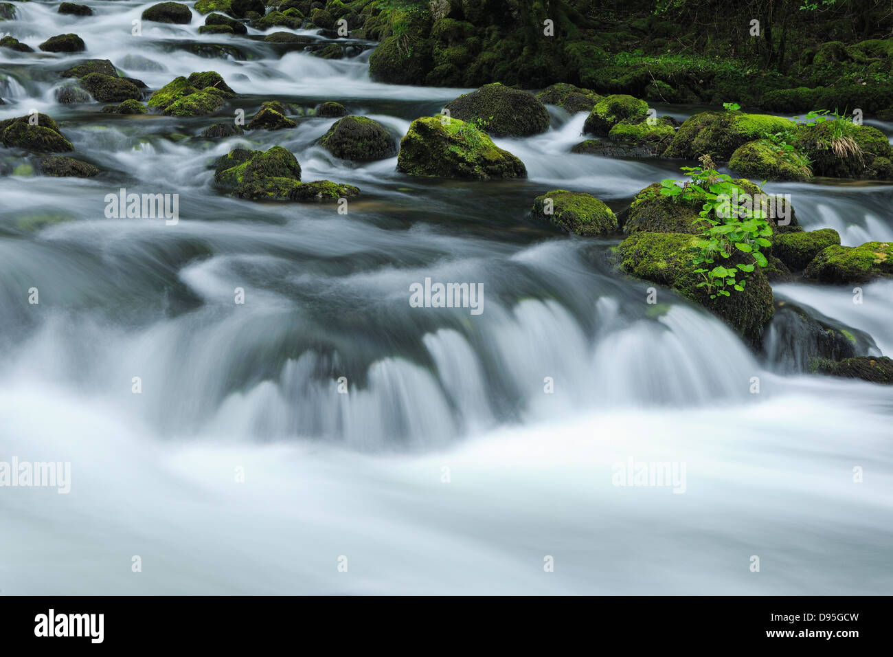 Fiume Orbe, Vallorbe, Monti del Giura, il Cantone di Vaud, Svizzera Foto Stock