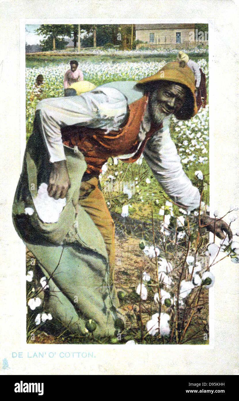 Gli afroamericani la raccolta del cotone, STATI UNITI D'AMERICA. Cartolina c1900. Foto Stock