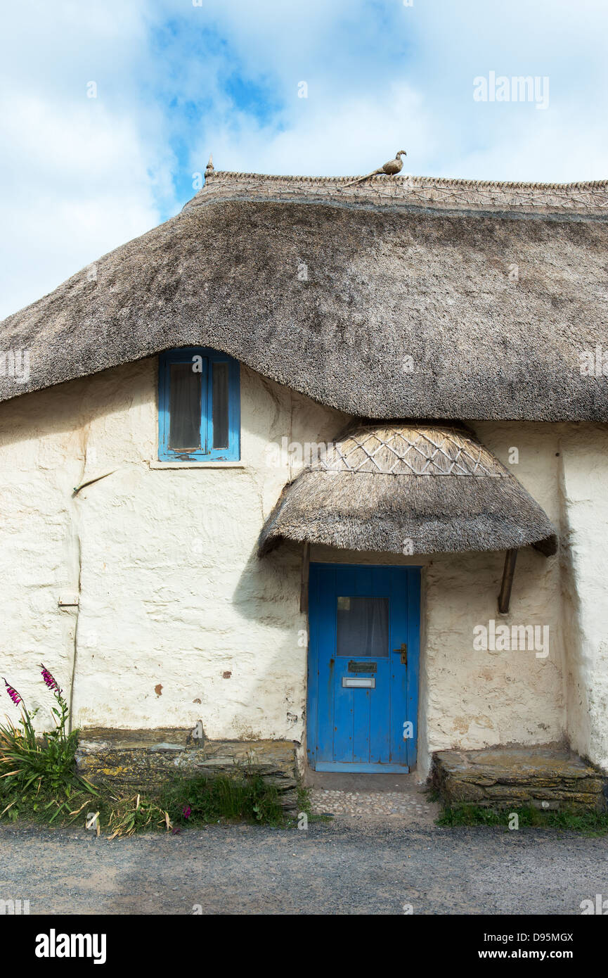 Con il tetto di paglia cob cottage. Devon, Inghilterra Foto Stock