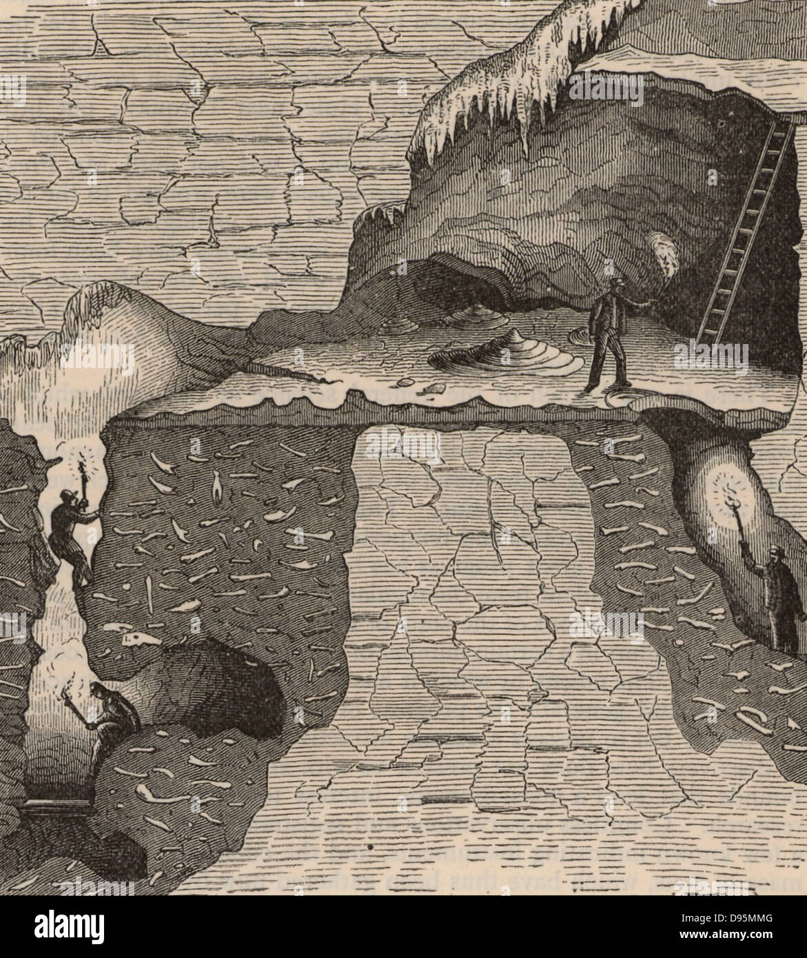 Vista in sezione di una caverna di osso che mostra i detriti di ossa di animali. William Buckland (1784-1856) inglese geologo e sacerdote, considerati i resti di essere la prova del Biblico Diluvio. Da 'una storia popolare della scienza" (London, 1880). Incisione. Foto Stock