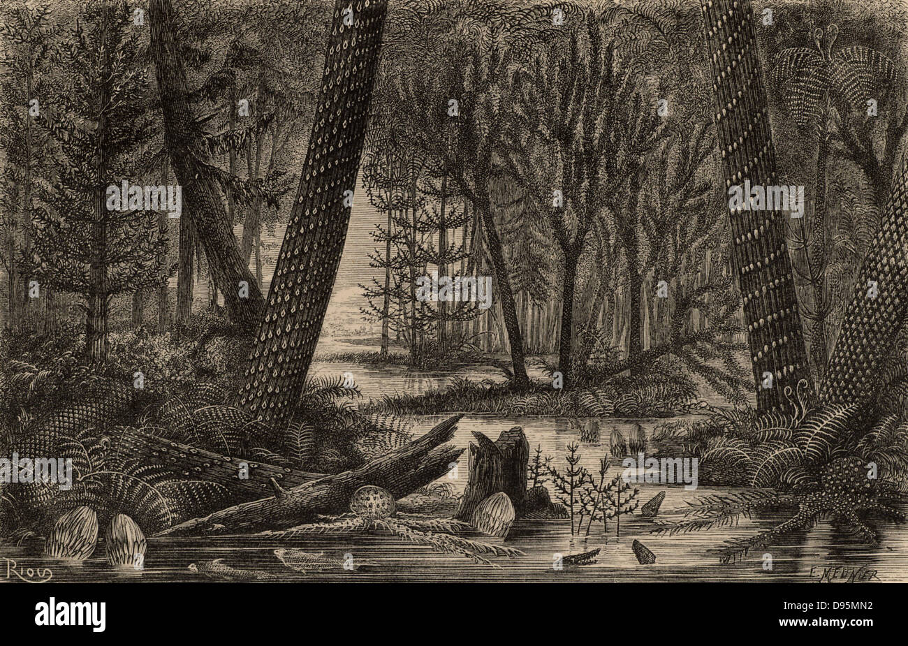 Artista della ricostruzione di una foresta carbonifero durante il tempo in cui i depositi di carbone sono state stabilite. Da "L'Universo" da FA Pouchet (Londra, 1874). Incisione. Foto Stock