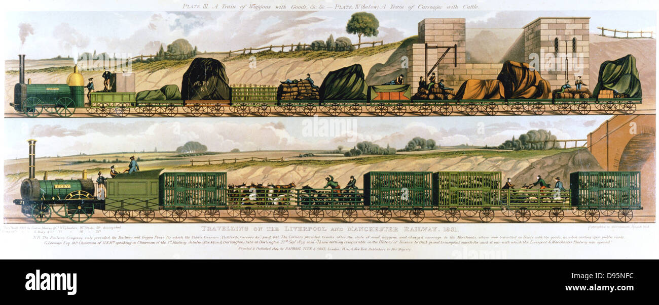 In viaggio per il Liverpool e Manchester ferroviaria 1831. Top: treno di merci prelevate dalla locomotiva 'Liverpool'. Fondo: bovini trenino trainato da locomotiva "furia". Il mondo il primo passeggero ferroviario, il Liverpool e Manchester aperto 15 Settembre 1830: Ingegnere capo George Stephenson. Litografia. Foto Stock