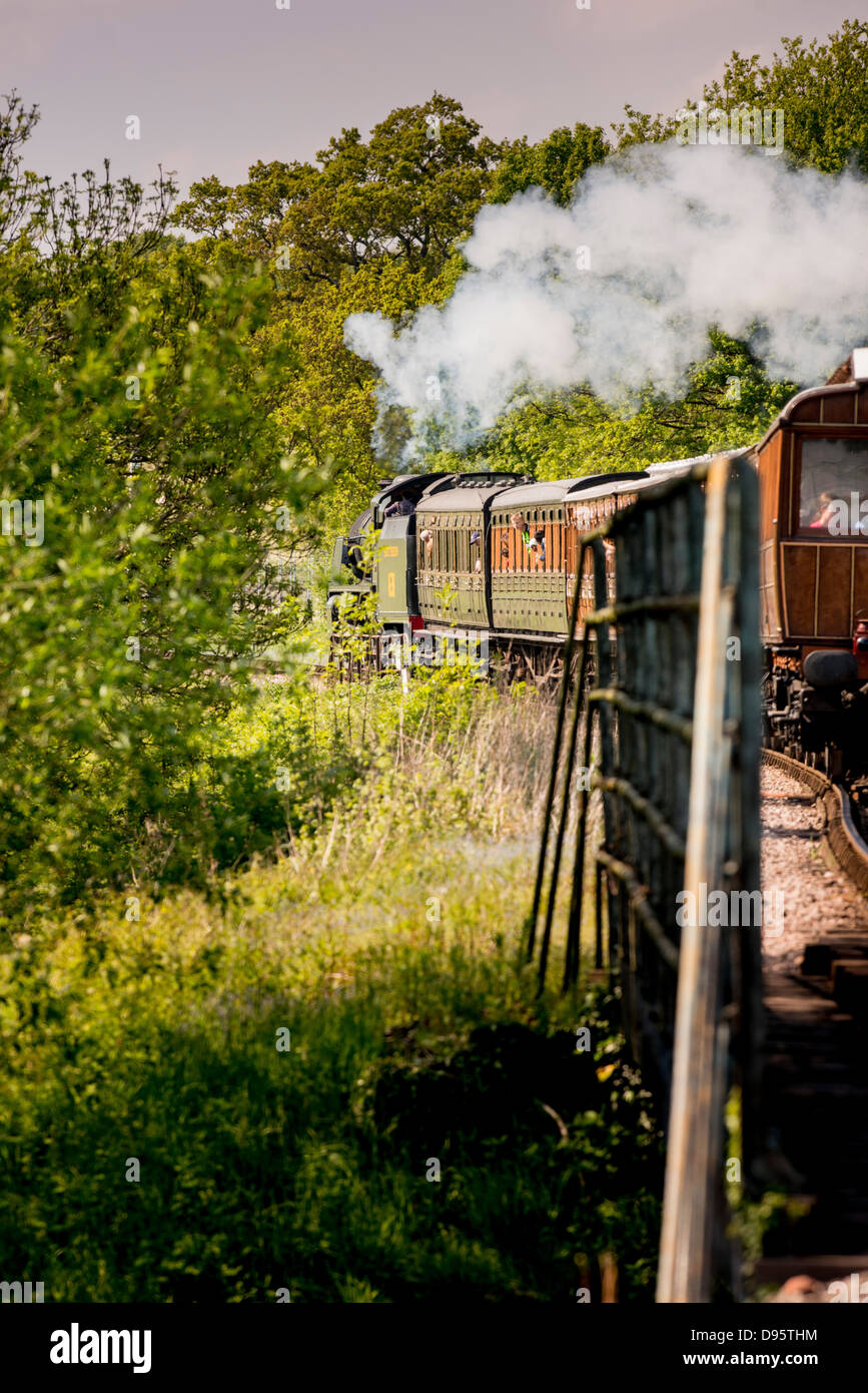 La ferrovia Bluebell in East Sussex, Regno Unito. Il primo standard guage conservazione Steam Railway. Un treno lascia Sheffield Park. Foto Stock