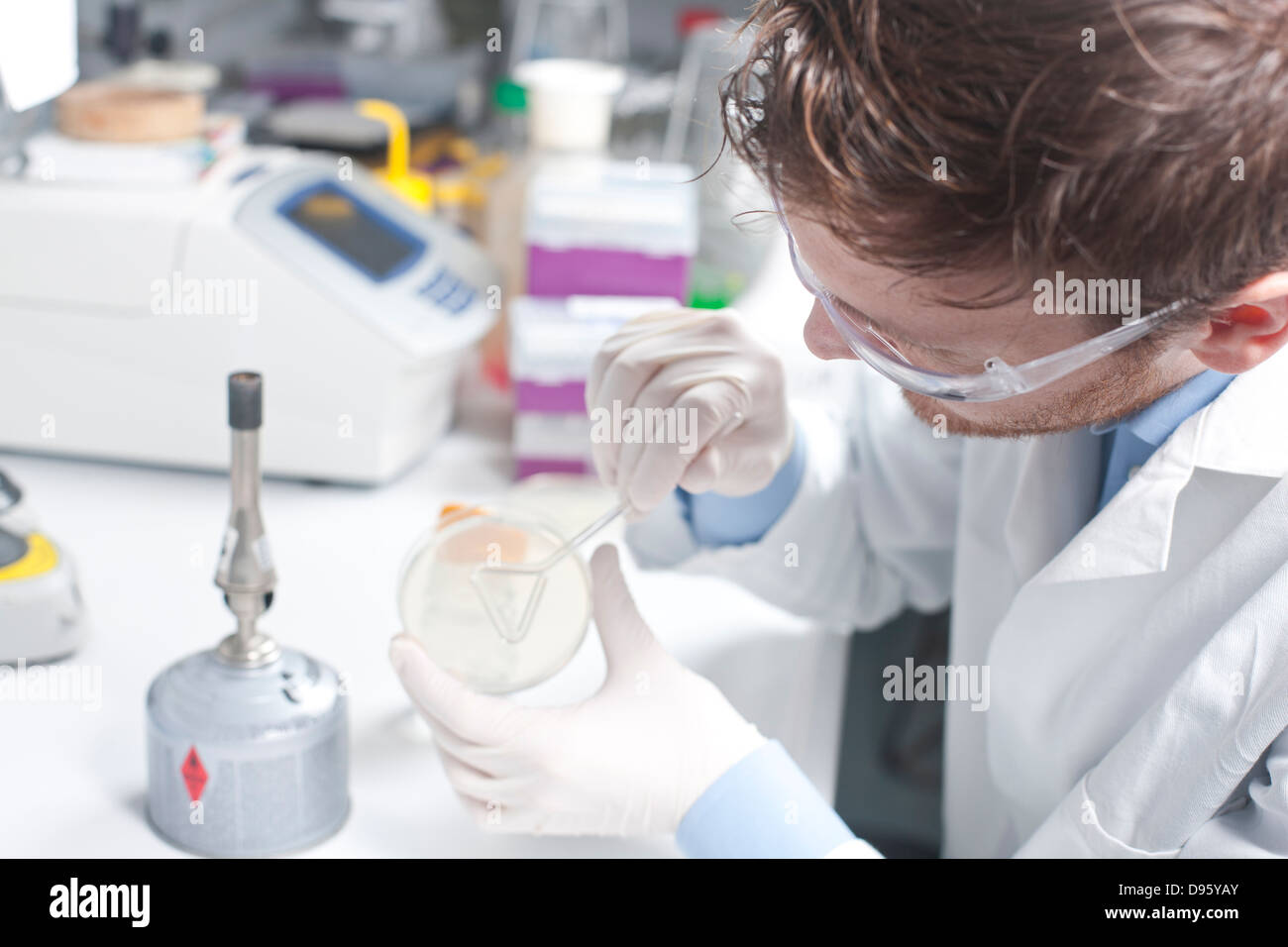 Germania, giovane scienziato esaminando i batteri in petri sexyboys Foto Stock