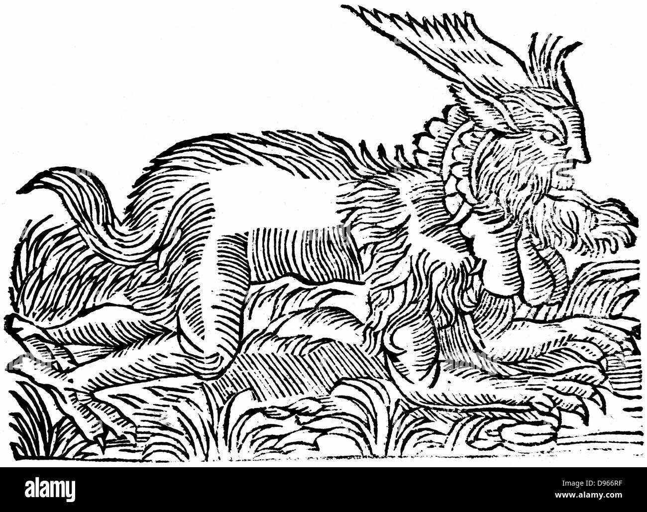 Lycanthropy: Foresta demon catturato Germania 1531 e detto abitano le foreste round Salisburgo & Amburgo. Forse strega indossando la pelle non vulcanizzata - rito primitivo che avrebbe potuto dar luogo a sono stati-lupo legenda. Xilografia di 1669 da edizione di Gesner 'Historiae animalum' Foto Stock